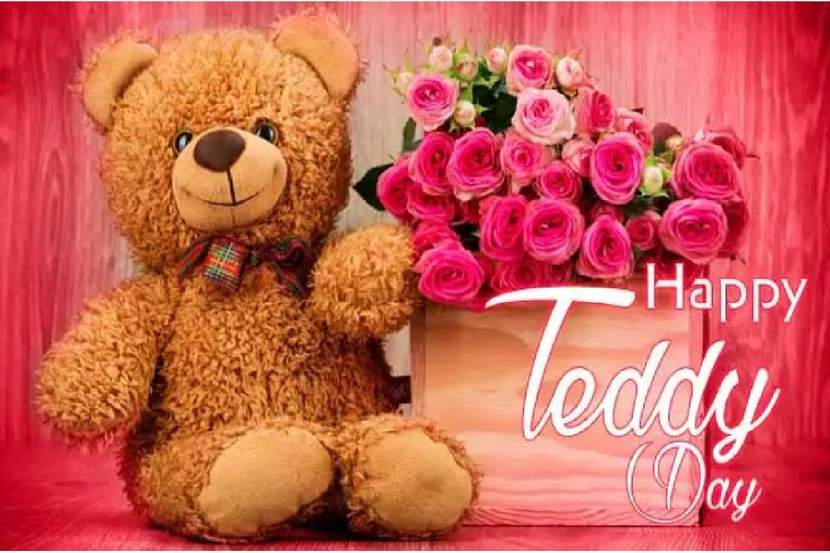 10th February 2024 Teddy Day HD Photos